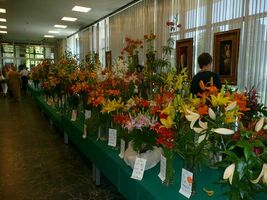 Foto: Dr. Jörg M. Giffei